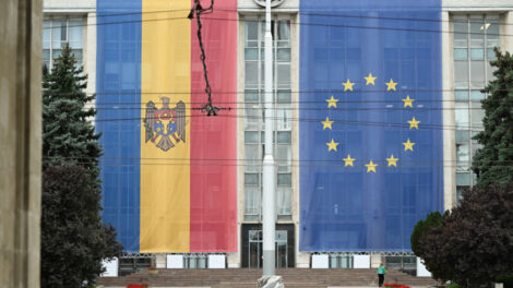 Aasgeier über Chișinău