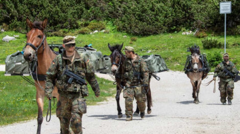 Bundeswehr nennt bei Manöver Russland dezidiert als Gegner