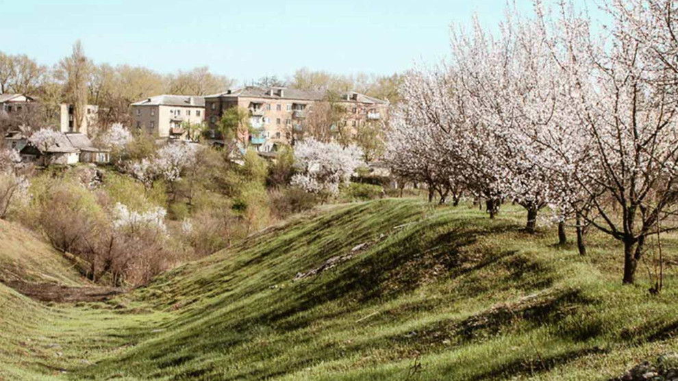 Wie blutende Kirschen am Wegesrand