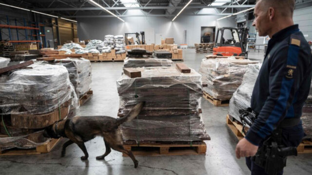 Drogenstaat Belgien: Warum Verbote die Verbrecher noch reicher machen