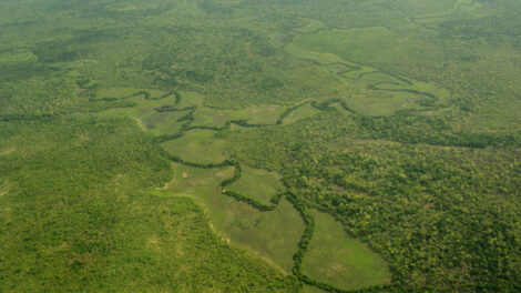 Russland wehrt Invasion im Herzen Afrikas ab