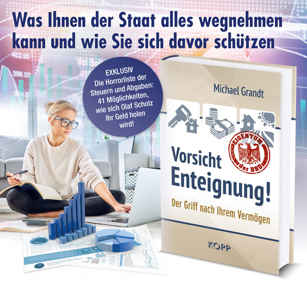 Die Transfer-Oligarchie – Mehr arbeiten für Merz 2 Vorsicht Enteignung!