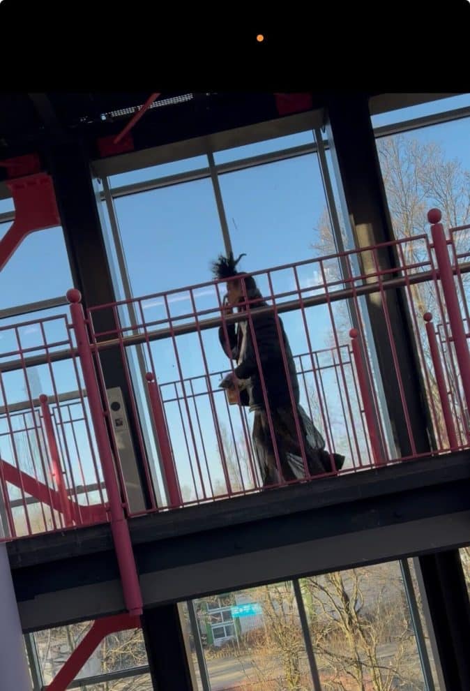 Berliner U-Bahn-Hölle: Ein Erlebnisbericht