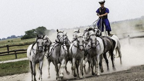Ungarn: Selbstbehauptung durch gelebte Renitenz