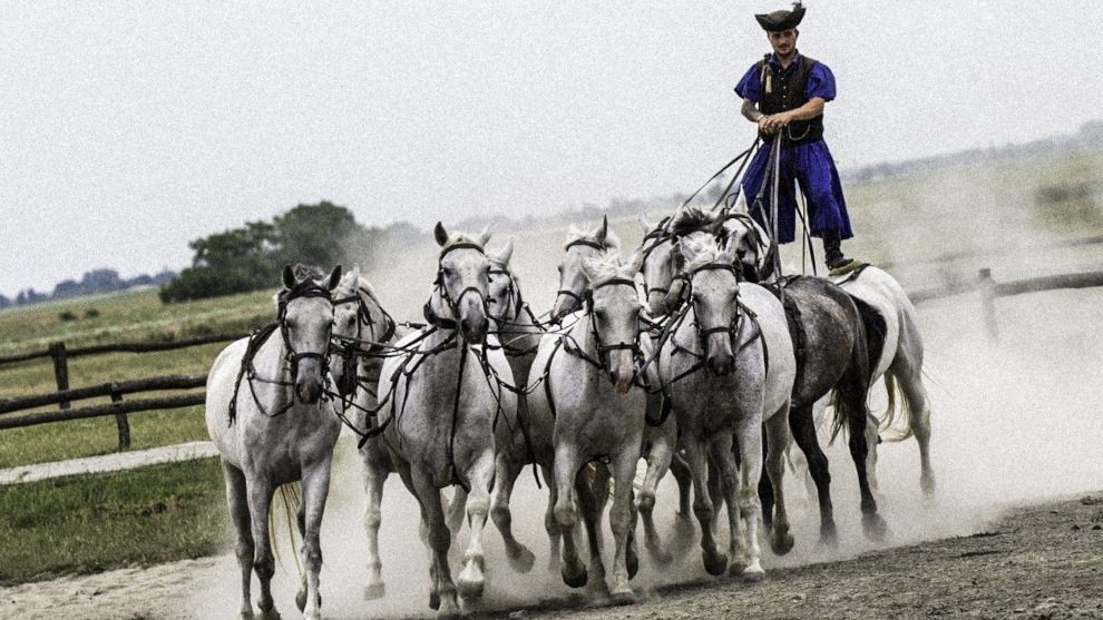 Ungarn: Selbstbehauptung durch gelebte Renitenz