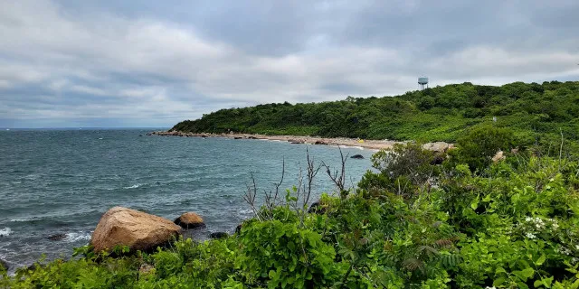 Zecken als Biowaffen