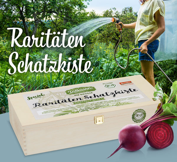 Die große Raritäten-Schatzkiste Saatgut-Box Bio