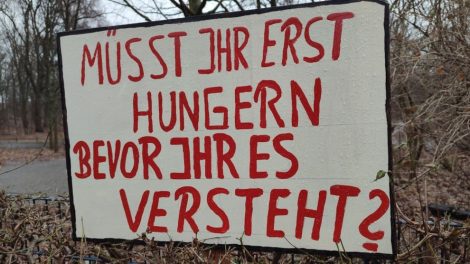 Steigende Suizidrate unter Bauern