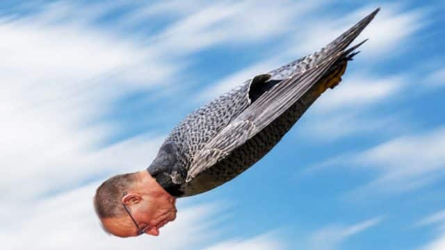 Ein Jahr Kanzler-Sturzflug