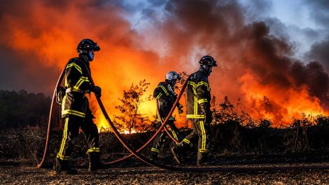 Wie EU-Naturschutz Europas Wälder in Feuerfallen verwandelt