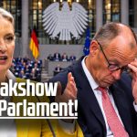 Irrenhaus Bundestag: Weidel spricht, Merz flüchtet, Hofreiter pöbelt